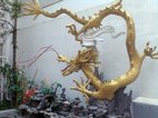 golden dragon 3