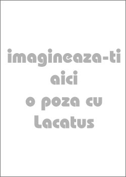 Marius Lacatus