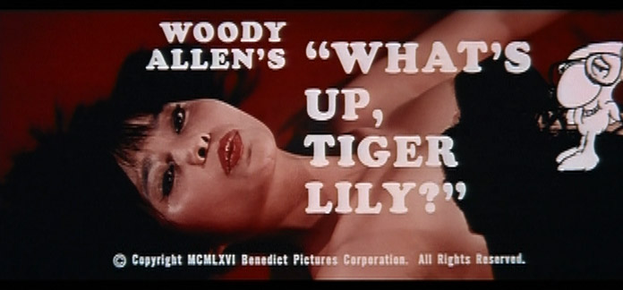 tiger-lily-1